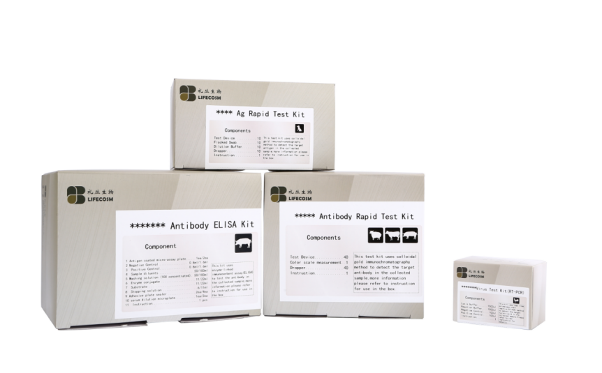 The Ultimate Guide to Wholesale SARS-CoV-2 Test Kits: Your Trusted Factory Partner