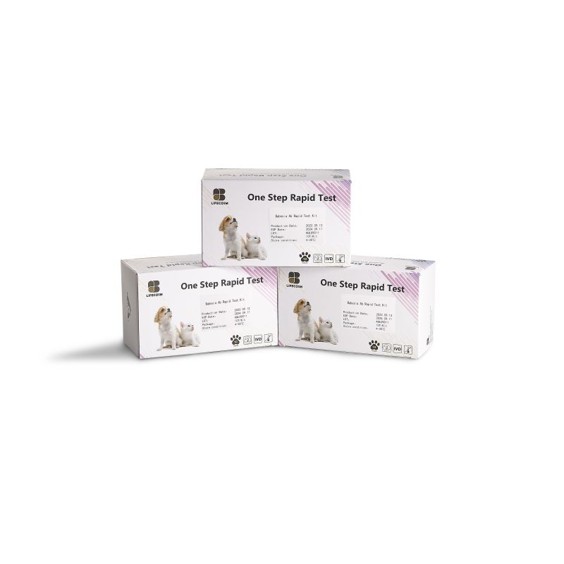 High Performance H Pylori And Covid - Lifecosm Canine Babesia gibsoni Ab Test Kit for veterinary use – Lifecosm