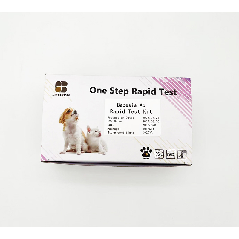 Rapid Test Instructions - Lifecosm Canine Babesia gibsoni Ab Test Kit for veterinary use – Lifecosm