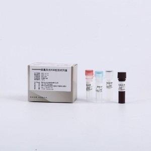 Lifecosm SARS-Cov-2-RT-PCR Detection kit for 2019-nCoV