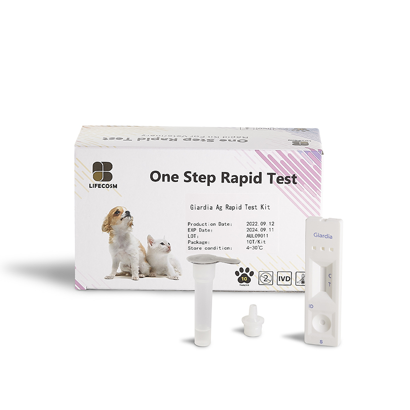Giardia test kit