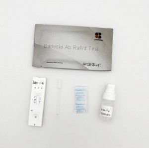 Canine Babesia gibsoni Ab Test Kit